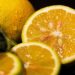 Quer doce rápido e refrescante? Confira esta receita de limão italiano simples - Imagem: Pixabay