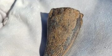 Monstro marinho pré-histórico pode acabar com todos animais - Imagem: Divulgação