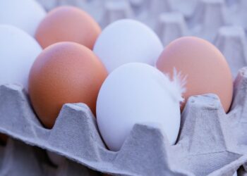 Diferença entre ovos brancos e marrons é importante e poucos sabem - Imagem: Pixabay
