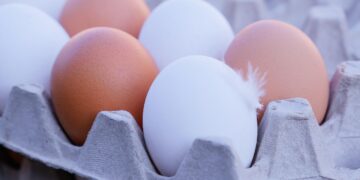 Diferença entre ovos brancos e marrons é importante e poucos sabem - Imagem: Pixabay