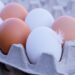 Diferença entre ovos brancos e marrons é importante e poucos sabem - Imagem: Pixabay