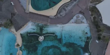 Parque fechado na França deixa animais abandonados por 11 meses - Imagem: Divulgação/Seph Lawless