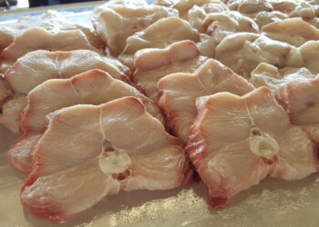peixe