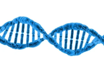 DNA desvenda povo desconhecido que viveu isolado na Argentina por milênios - Imagem: Pixabay
