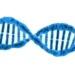 DNA desvenda povo desconhecido que viveu isolado na Argentina por milênios - Imagem: Pixabay
