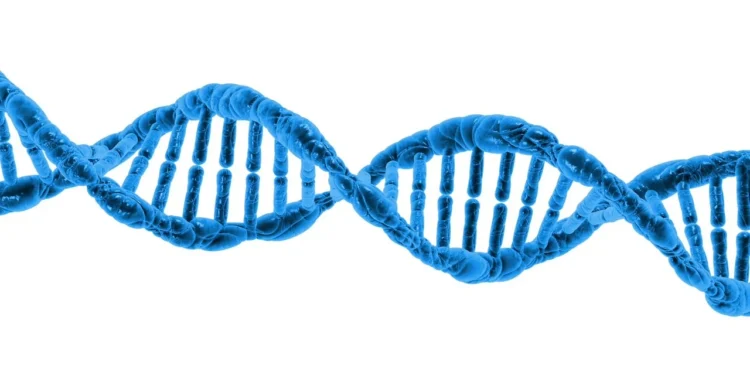 DNA desvenda povo desconhecido que viveu isolado na Argentina por milênios - Imagem: Pixabay