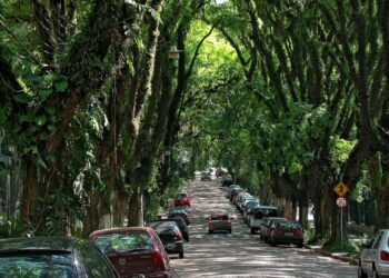 Foto: Amigos da Rua Gonçalo de Carvalho/Divulgação