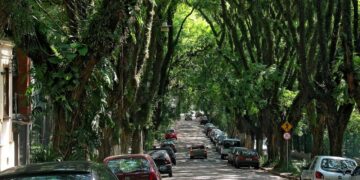 Foto: Amigos da Rua Gonçalo de Carvalho/Divulgação