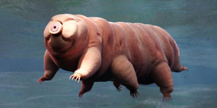 Esse animal deixa todos sem reação por ser imune ao fogo, frio e espaço