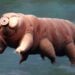Esse animal deixa todos sem reação por ser imune ao fogo, frio e espaço