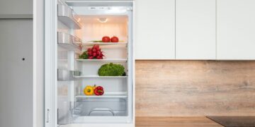 Por que algumas pessoas colocam plástico-bolha na geladeira