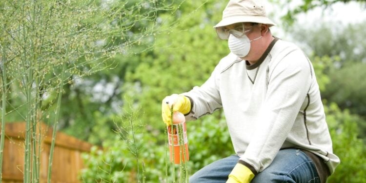 Pesquisadores descobrem que fertilizante pode ser criado com urina
