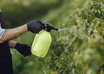 Pesquisa aponta quais produtos vêm com mais agrotóxicos no país