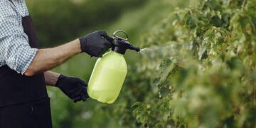Pesquisa aponta quais produtos vêm com mais agrotóxicos no país