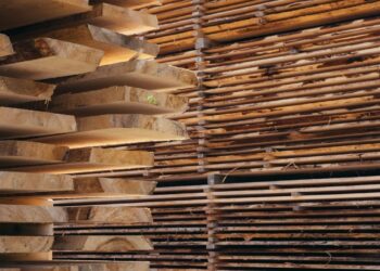 Madeira superforte que pode substituir o aço é criada por cientistas