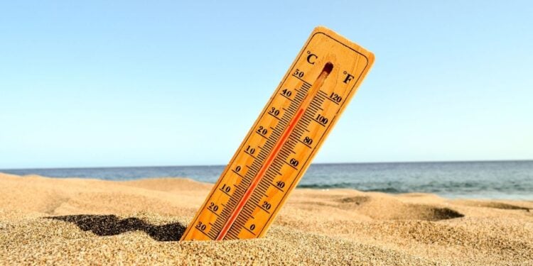 Saúde no verão veja 9 mitos e verdades para curtir o calor com segurança