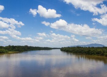 Amazônia