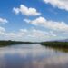 Amazônia