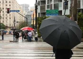 Clima no Brasil vai mudar após El Niño passar pelo país - Imagem: Rovena Rosa/Agência Brasil