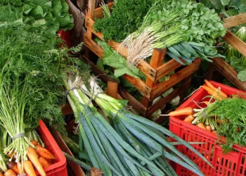 Alimento comum no Brasil lidera ranking dos alimentos com mais nutrientes - Imagem: Divulgação/Embrapa
