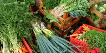 Alimento comum no Brasil lidera ranking dos alimentos com mais nutrientes - Imagem: Divulgação/Embrapa