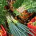 Alimento comum no Brasil lidera ranking dos alimentos com mais nutrientes - Imagem: Divulgação/Embrapa