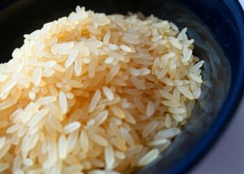Arroz influencia na glicose? Entenda o que acontece quando consome - Imagem: Pixabay