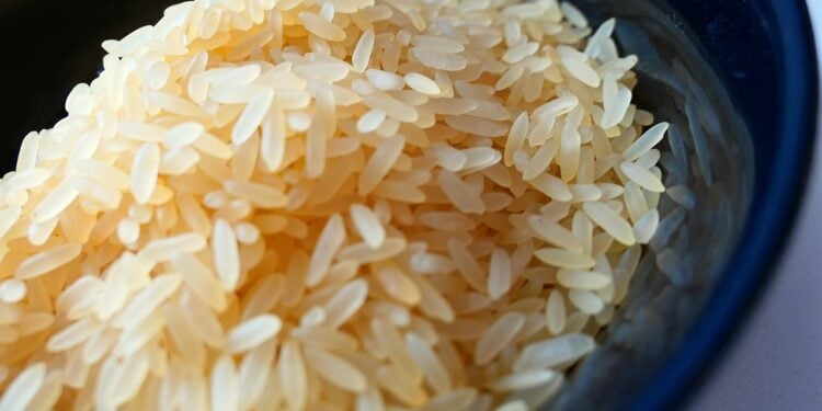 Arroz influencia na glicose? Entenda o que acontece quando consome - Imagem: Pixabay