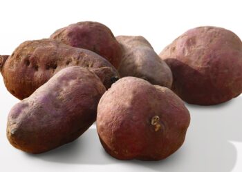 A forma perfeita de preparar batata-doce sem tirar os nutrientes - Imagem: Pixabay