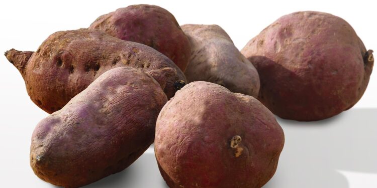 A forma perfeita de preparar batata-doce sem tirar os nutrientes - Imagem: Pixabay