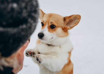 Foto: Raspopova Marina/Unsplash
