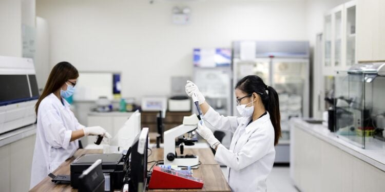 Cientistas ficam esperançosos ao finalmente conseguirem curar câncer em rato - Imagem: Pixabay