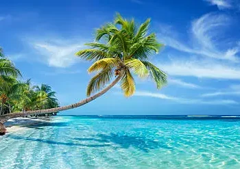 Caribe - Reprodução/iStock