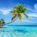 Caribe - Reprodução/iStock