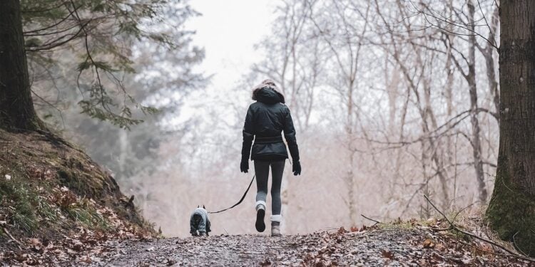Eficiência de caminhar fica para trás com esse exercício 4x melhor - Imagem: Pixabay