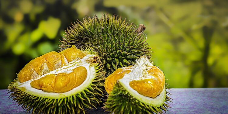 fruta