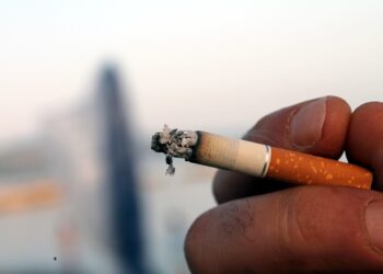 País aplica multa de R$ 1.000 para quem fumar perto de parques - Imagem: Pixabay