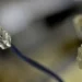 Brasil fica na mira do FBI por impressionante combate ao gatonet - Imagem: Marcello Casal Jr/Agência Brasil