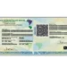 Passo a passo para pedir a nova carteira de identidade online - Imagem: Instituto-Geral de Perícias do Rio Grande do Sul