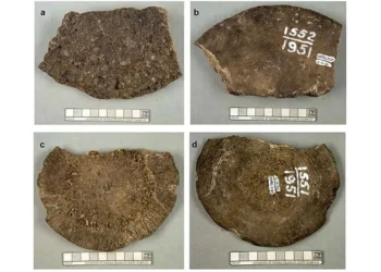 Reprodução/Journal of Quaternary Science