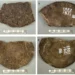 Reprodução/Journal of Quaternary Science