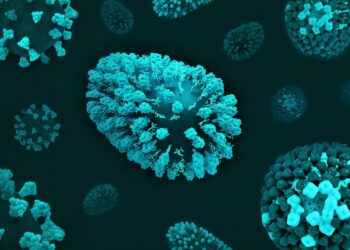 Foto: National Institute of Allergy and Infectious Diseases/Unsplash