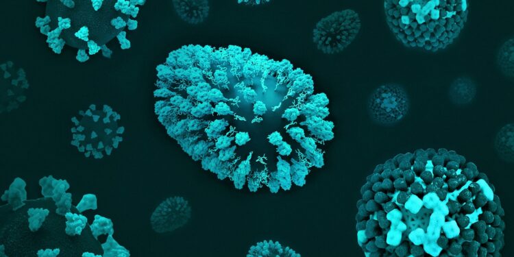 Foto: National Institute of Allergy and Infectious Diseases/Unsplash