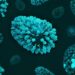 Foto: National Institute of Allergy and Infectious Diseases/Unsplash