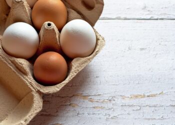 Novo método para cozinhar ovos não usa mais água; veja como - Imagem: Pixabay