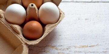 Novo método para cozinhar ovos não usa mais água; veja como - Imagem: Pixabay