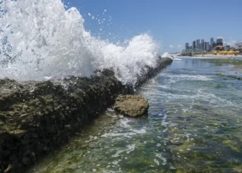 Agência Pernambucana de Meio Ambiente (CPRH) aponta que sete áreas de litoral do estado estão impróprias para o banho de mar - Imagem: Fernando Frazão/Agência Brasil