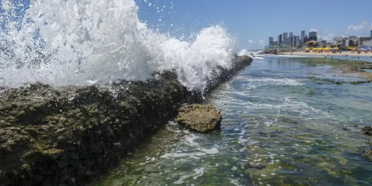 Agência Pernambucana de Meio Ambiente (CPRH) aponta que sete áreas de litoral do estado estão impróprias para o banho de mar - Imagem: Fernando Frazão/Agência Brasil
