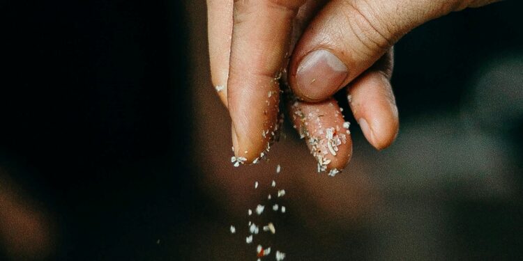 Foto: cottonbro studio/Pexels