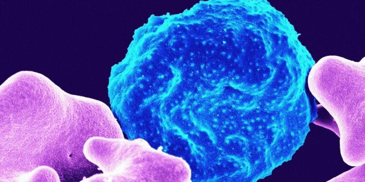 Estudo revela que parasita ainda vivo infecta cerca de um terço das pessoas no mundo
